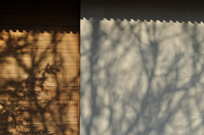 Oak House, shadow detail